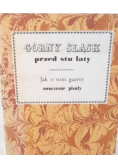Górny Śląsk przed stu laty