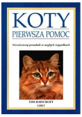 Koty pierwsza pomoc