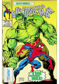 The amazing Spider - man Nr 6 The incredible Hulk