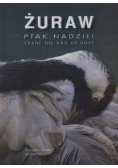 Żuraw ptak nadziei