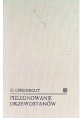 Pielęgnowanie drzewostanów