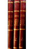 Zarys dziejów reformacji w Polsce 3 tomy reprint z ok 1905 r