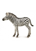 Zebra źrebię