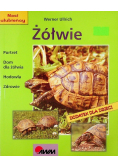 Żółwie