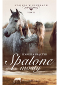 Spalone mosty