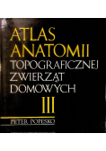 Atlas anatomii topograficznej zwierząt domowych Tom III
