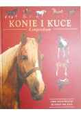 Konie i kuce Kompendium
