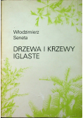 Drzewa i krzewy iglaste Część 2