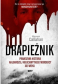 Drapieżnik
