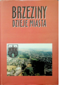 Brzeziny dzieje miasta