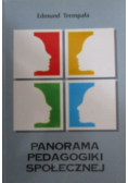 Panorama pedagogiki społecznej