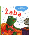 Żaba