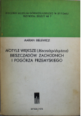 Motyle większe Bieszczadów Zachodnich i Pogórza Przemyskiego