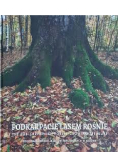 Podkarpacie lasem rośnie