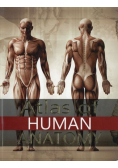 Atlas of Human Anatomy