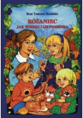 Różaniec jak wiersz