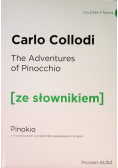 The Adventures of Pinocchio Pinokio