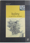 Byliny w ogrodzie skalnym