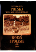 Przedwojenna Polska w krajobrazie i zabytkach Wołyń i Polesie Tom III