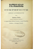 Patrologiae Compendium scholis accommodatum 1889 r.