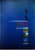Zabrze oblicze miasta