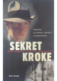 Sekret Kroke