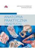 Anatomia praktyczna Układ ruchu