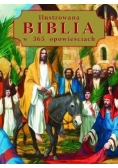 Ilustrowana Biblia w 365 opowieściach