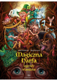Magiczna harfa Legendy irlandzkie
