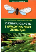 Poradnik leśnika. Drzewa iglaste i owady na nich żerujące