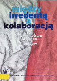 Między irredentą a kolaboracją