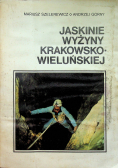 Jaskinie wyżyny krakowsko wieluńskiej