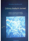 Odloty białych żurawi