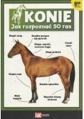 Konie jak rozpoznać 50 ras