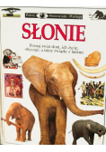 Słonie Patrzę podziwiam