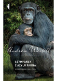 Szympansy z azylu Fauna