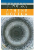 Athena noctua