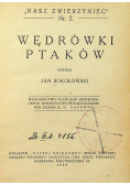 Wędrówki ptaków 1929 r