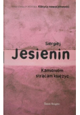 Kamieniem strącam księżyc