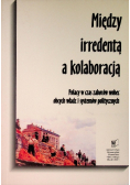 Między irredentą a kolaboracją