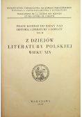 Z dziejów literatury Polskiej wieku XIX 1929 r
