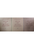 Atlas of human anatomy 3 tomy