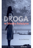 Droga w blasku księżyca