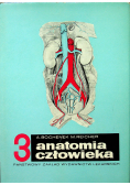 Anatomia człowieka 3