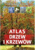 Zdrowa Kuchnia Każdego Dnia