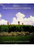 Magia świętokrzyskiego drzewa