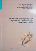 Wierzba energetyczna - uprawa i technologie przetwarzania