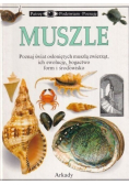 Muszle