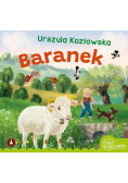 Baranek