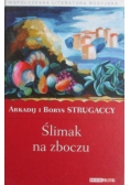 Ślimak na zboczu